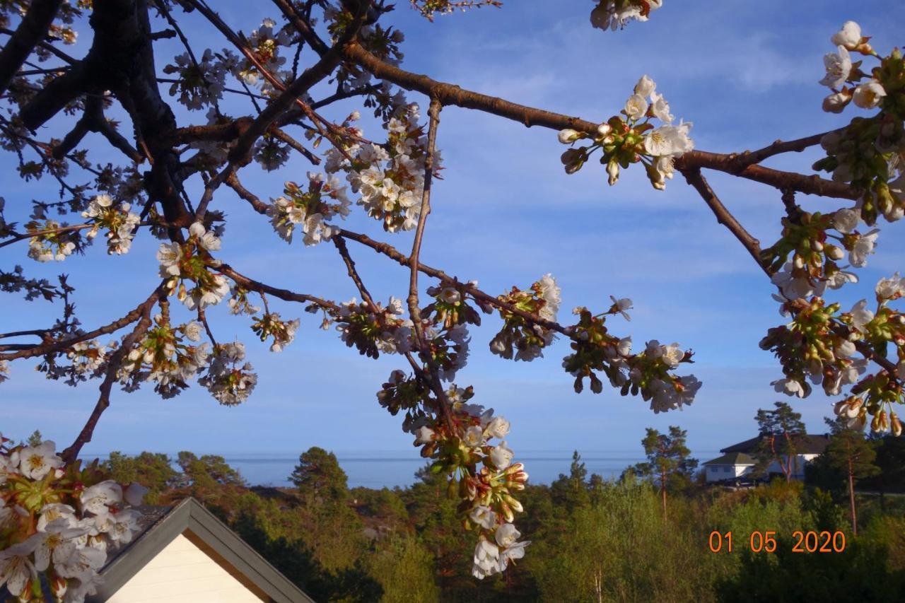 Risor Bed & Breakfast, Randvik Strand Exterior photo